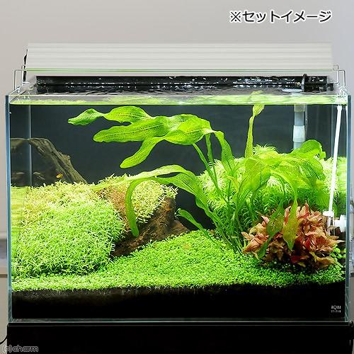 アクロ TRIANGLE LED BRIGHT 600 4200lm 高